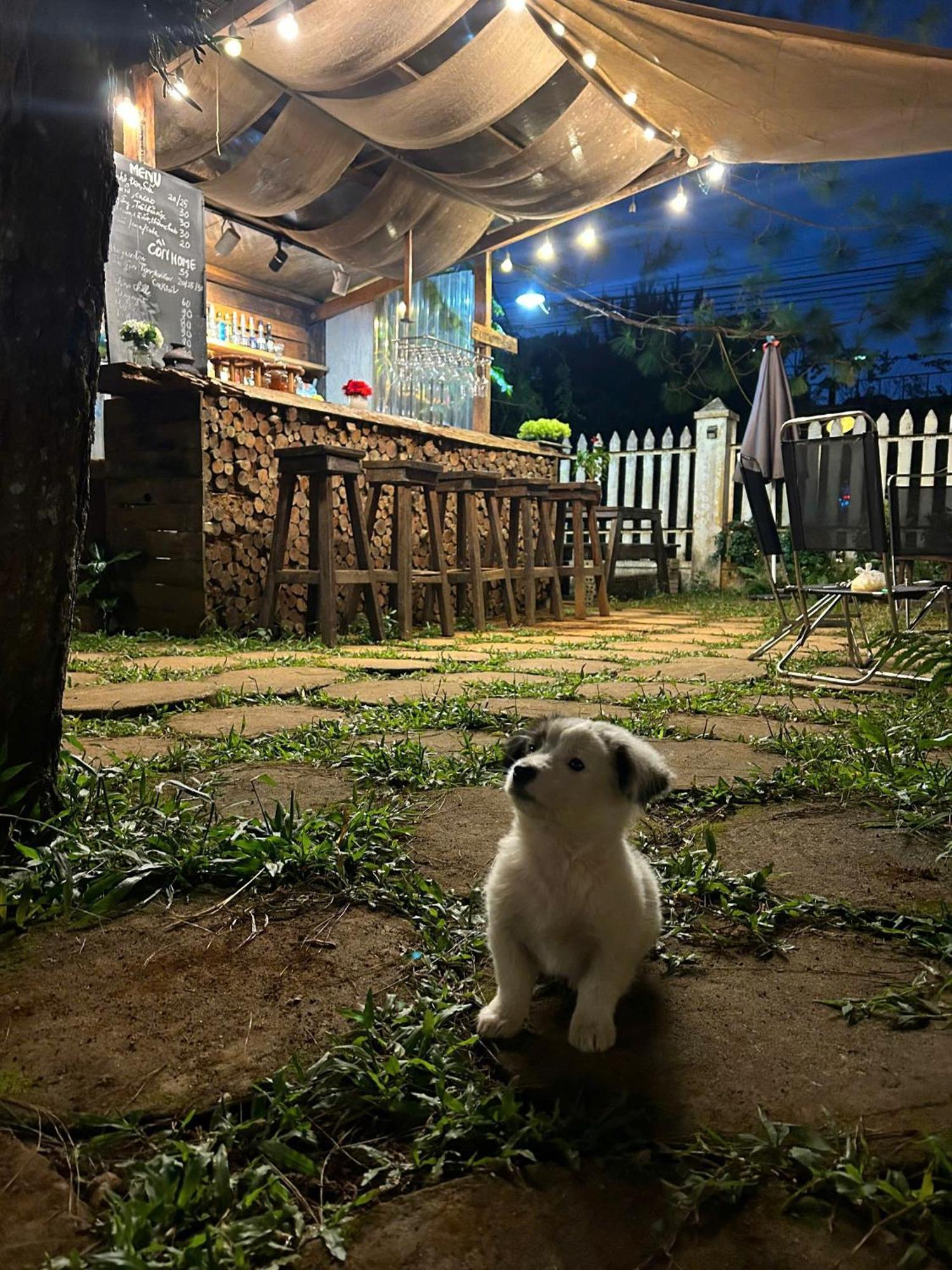 Chino Homestay Mang Den - Villa Tai Mang Den Kon Tum Esterno foto